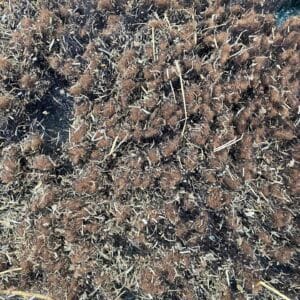 Restwol/tuinwol/mulch